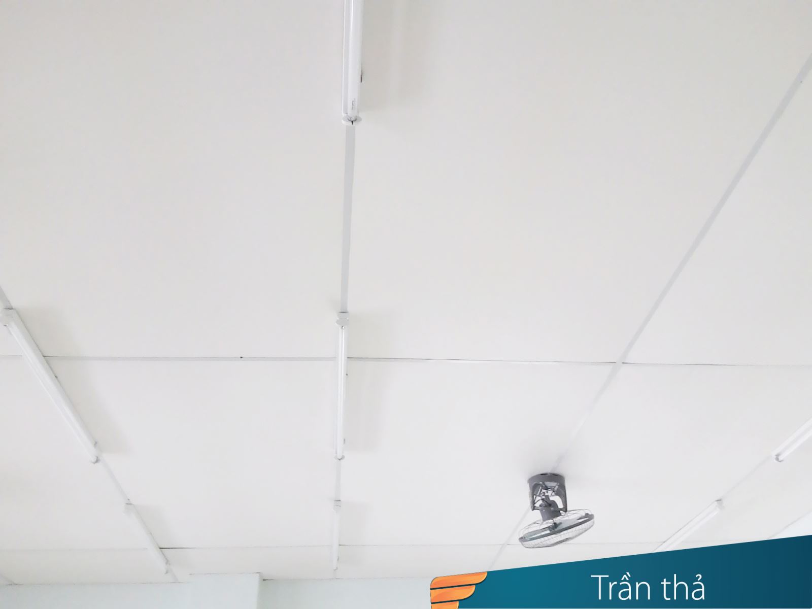 trần nhựa pvc
